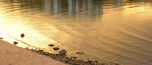 Gilded shoreline, Cairns