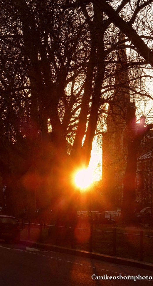 Brook Green, dazzled
