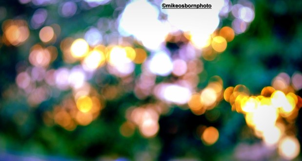 Winter bokeh