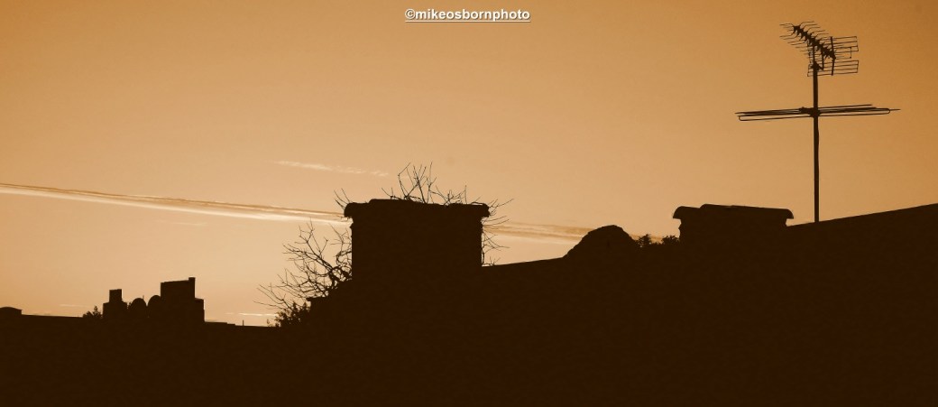 Scarred sepia sundown