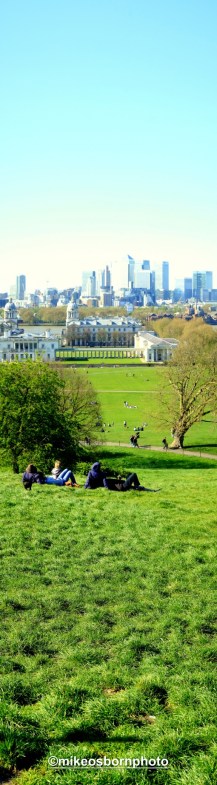 Greenwich grass