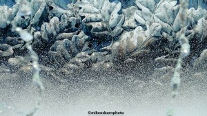 A gushing fountain in Skopje, North Macedonia
