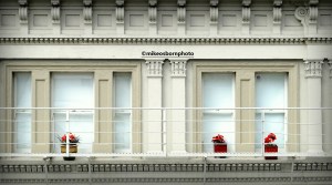 Flower pots on an old balcony, Dunedin, New Zealand