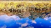 Mirror Lakes, New Zealand