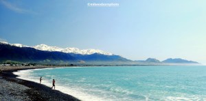 Anglers on the shore at Kaikoura, New Zealand