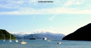 Picton harbour, New Zealand