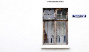 Decorative cats in a Reykjavik window, Iceland