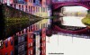 Reflections on Bridgewater Canal and bees in Manchester