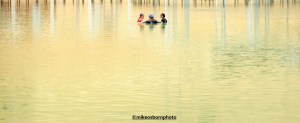 Bathers in Dead Sea, Ein Bokek, Israel
