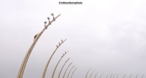 A cluster of light stalks on Blackpool's promenade
