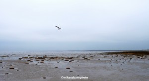 Seaside view at Southport