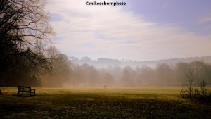 Misty field at Yorkshire Sculpture Park