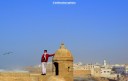 Young man posing on the ramparts of Essaouria, Morocco