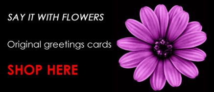 Click through to mikeosbornphoto's greeting cards shop