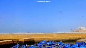 Blue boats and the sea wall at Essaouria, Morocco