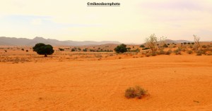 Mini Sahara near Tiznit, Morocco
