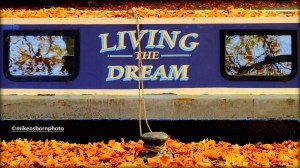 A narrow boat in autumn on the canal at Castlefield in Manchester