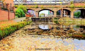 By the canal at Castlefield, Manchester in autumn