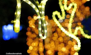 Reindeer and Christmas gold lights in Spinningfields, Manchester