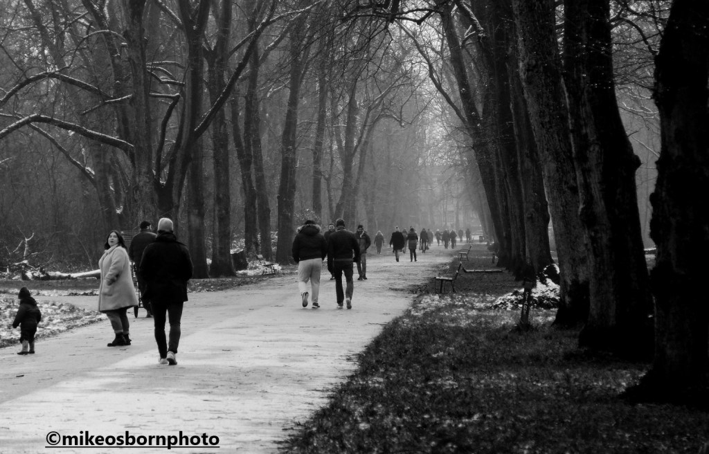 Walkers along the tree-lined avenue, Alexandra Park, Manchester