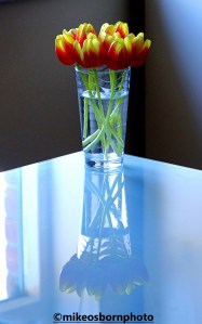 Vase of tulips on a glass table
