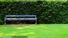 A bench by a hedge at Walkden Gardens, Manchester
