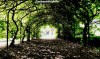 Pergola walk at Walkden Gardens, Manchester
