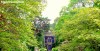 The chapel in the trees at Bodnant Garden, Wales