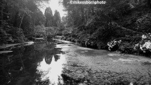 The riverside at Bodnant Garden, Wales