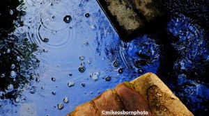 Babbling brook at Worsley woods