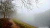 The foggy banks of the Irwell River in Salford