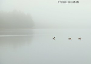 Entwistle Reservoir, Lancashire, shrouded in fog