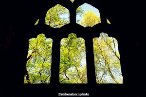 Trees framed by an old window frame at Heptonstall's old church