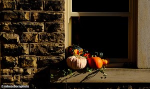 Pumpkins adorn a window ledge on a cottage in the Yorkshire village of Howarth
