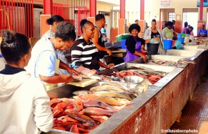 Ladies at Mindelo's fish market in Cape Verde are all smiles as they go about their business