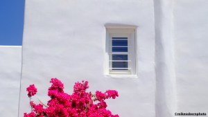 A splash of bright pink Bougainvillea against a whitewashed house on the Greek island of Serifos