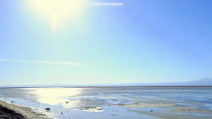 A salt pan in Chile's Atacama Desert.