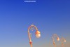 The pink lamps of Colwyn Bay pier in Wales set against a pristine blue sky