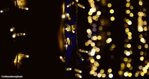 Golden Christmas fairy lights at MediaCityUK in Salford.