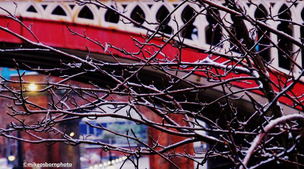 Snow-covered tree branches set against a railway bridge in Castlefield, Manchester.