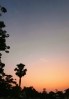 Palm trees silhouetted against a dusk sky on the African island of Príncipe.