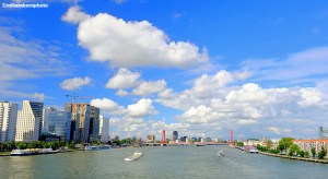 A view of both shores of Rotterdam's Nieuwe Maas river as seen from the Erasmus Bridge.
