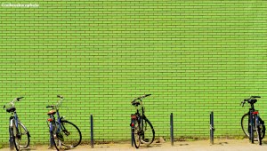 Bicycles in Rotterdam parked next to a green brick wall.