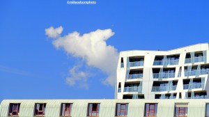 Bright white buildings studded with windows catch the sunshine in Rotterdam.