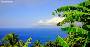 A tropical palm-fringed view of the sea on the the island of Anjouan in the Comoros.