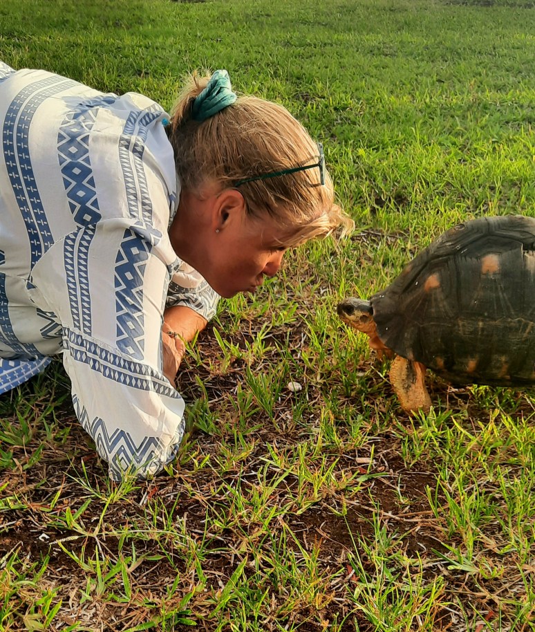 Getting to know the pet tortoises in the Comoros.