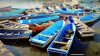 A group of blue fishing boats moored in Moroni harbour in the Comoros Islands.