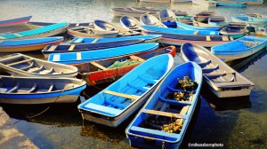 A group of blue fishing boats moored in Moroni harbour in the Comoros Islands.