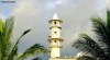 A white minaret fringed by palm leaves on the Comoros island of Ngazidja.