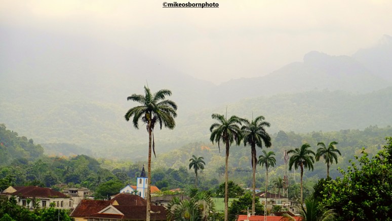 Tall palms hold sway over the town of Santo Antonio on Príncipe island.